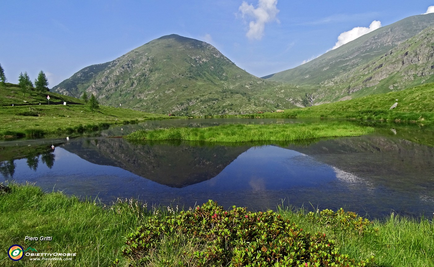 11 Il Monte Busna (2136 m) si specchia nel laghetto del Passo.JPG -                                